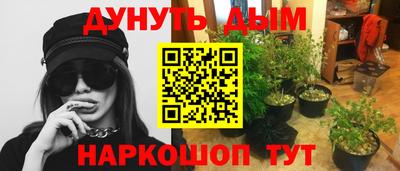 mix Будённовск