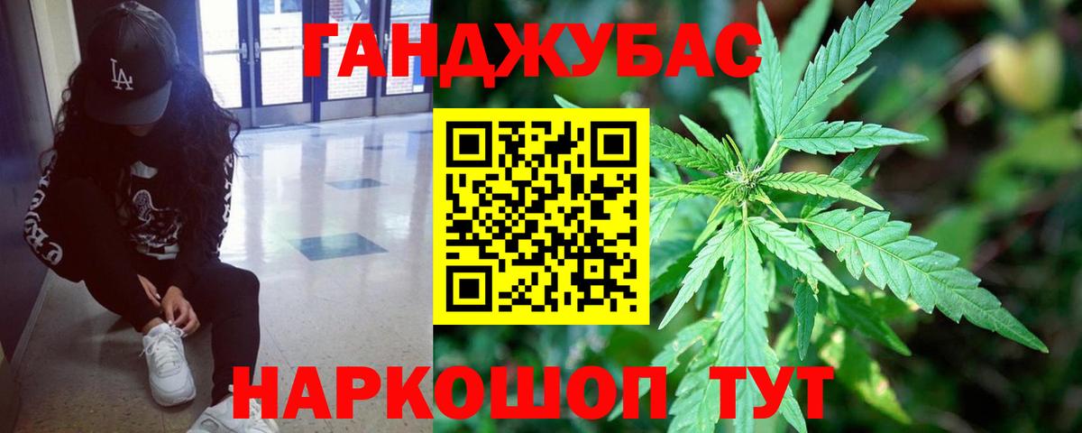 Каннабис сатива Ревда